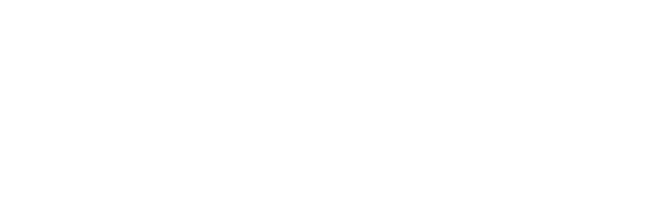 gaviota_ventanas